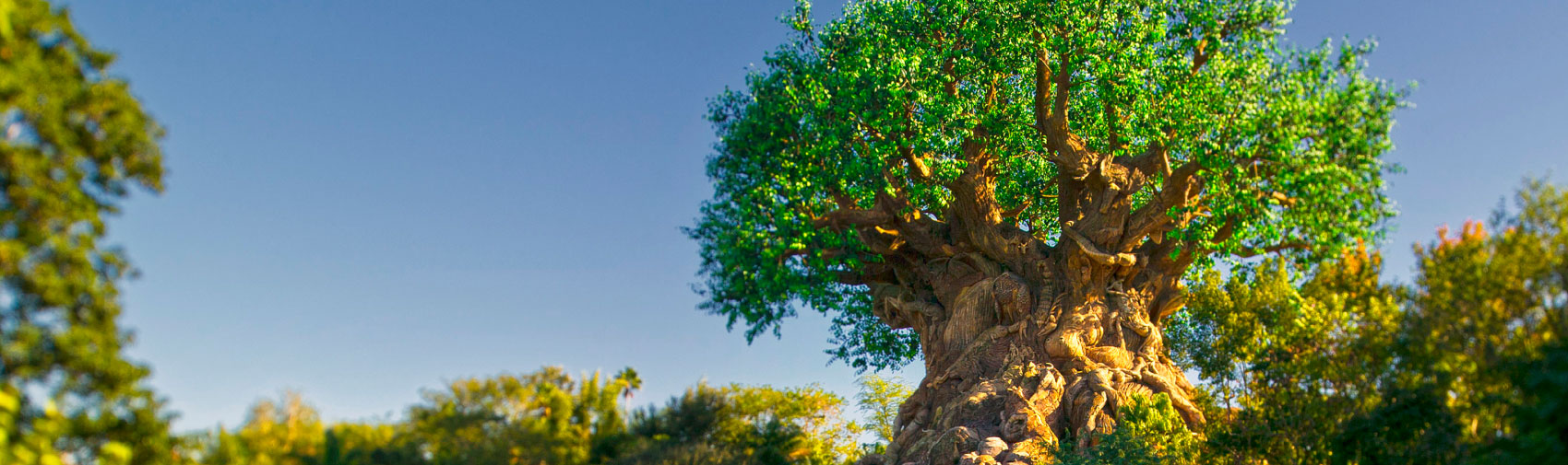 Disney's Animal Kingdom Theme Park